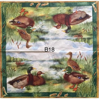 Decorative Napkins B18