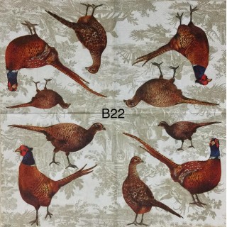 Decorative Napkins B22