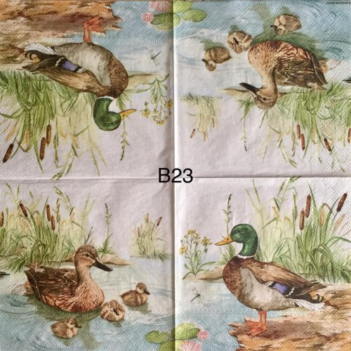 Decorative Napkins B23