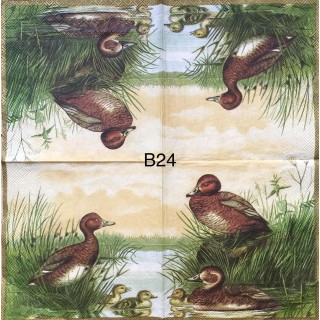 Decorative Napkins B24