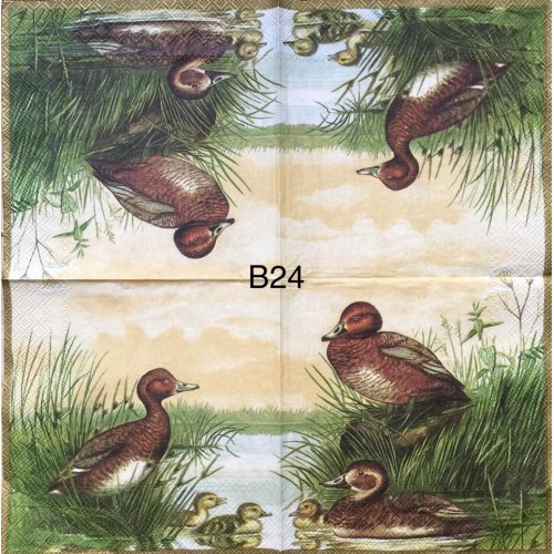 Decorative Napkins B24