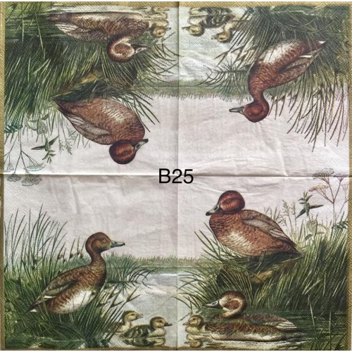 Decorative Napkins B25