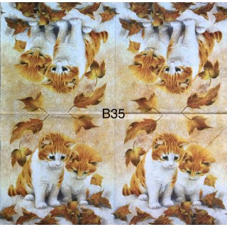 Decorative Napkins B35