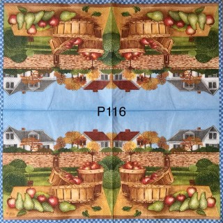 Decorative Napkins P116