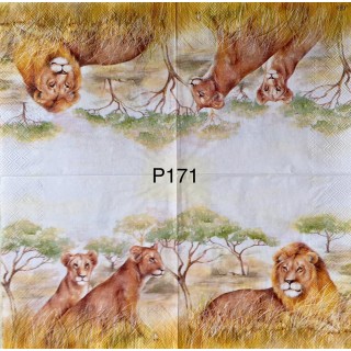 Decorative Napkins P171