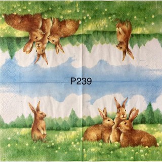 Decorative Napkins P239