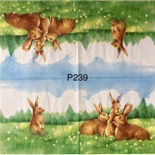 Decorative Napkins P239