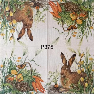 Decorative Napkins P375