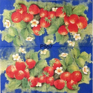 Decorative Napkins P557