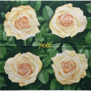 Decorative Napkins R002