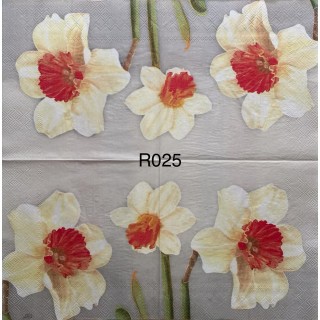 Decorative Napkins R025