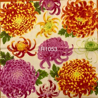 Decorative Napkins R1053