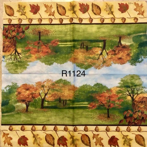 Decorative Napkins R1124