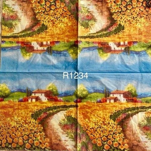 Decorative Napkins R1234