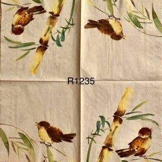 Decorative Napkins R1235