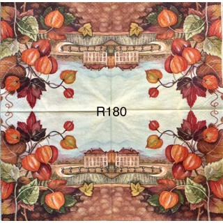 Decorative Napkins R180