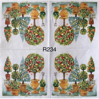 Decorative Napkins R234