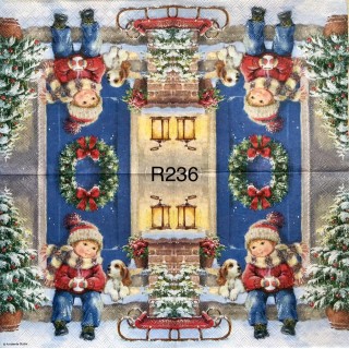 Decorative Napkins R236