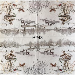 Decorative Napkins R243