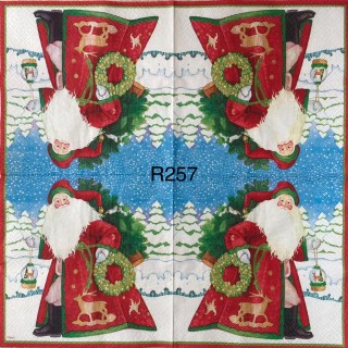 Decorative Napkins R257