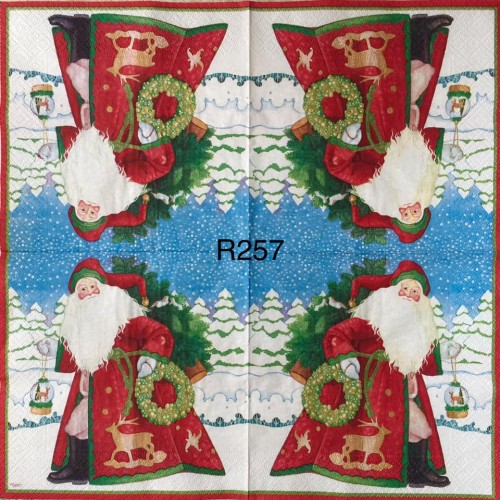 Decorative Napkins R257