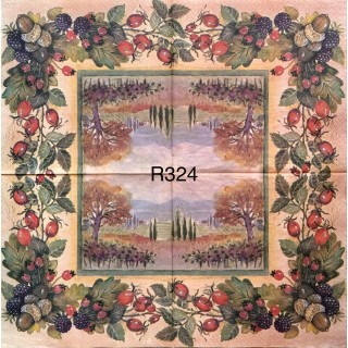 Decorative Napkins R324