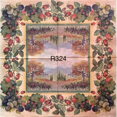 Decorative Napkins R324