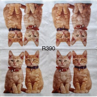 Decorative Napkins R390