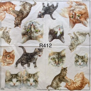 Decorative Napkins R412