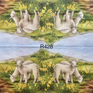 Decorative Napkins R428