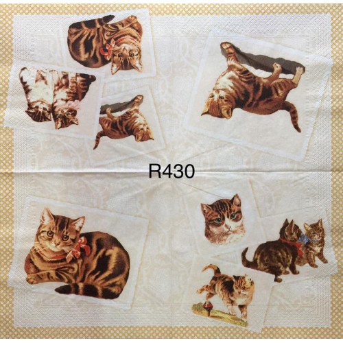 Decorative Napkins R430