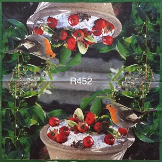 Decorative Napkins R452