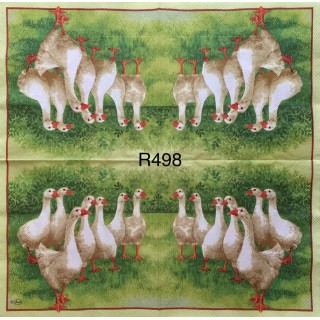 Decorative Napkins R498