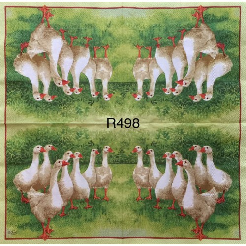 Decorative Napkins R498