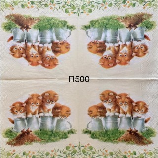 Decorative Napkins R500