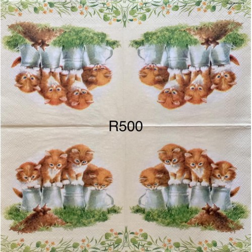 Decorative Napkins R500