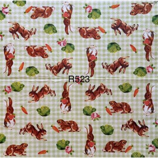 Decorative Napkins R523