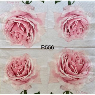 Decorative Napkins R556