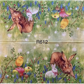 Decorative Napkins R612