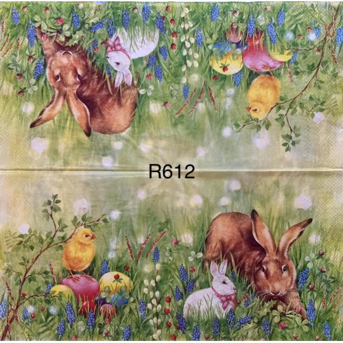 Decorative Napkins R612