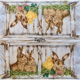 Decorative Napkins R625