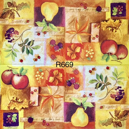 Decorative Napkins R669