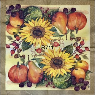 Decorative Napkins R711