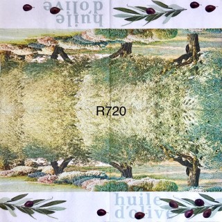 Decorative Napkins R720