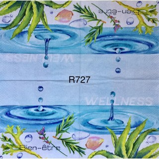 Decorative Napkins R727