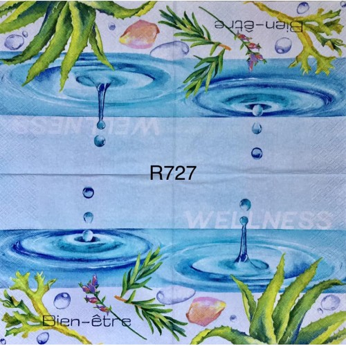 Decorative Napkins R727