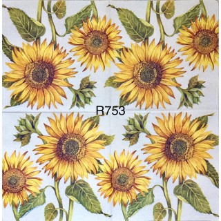 Decorative Napkins R753