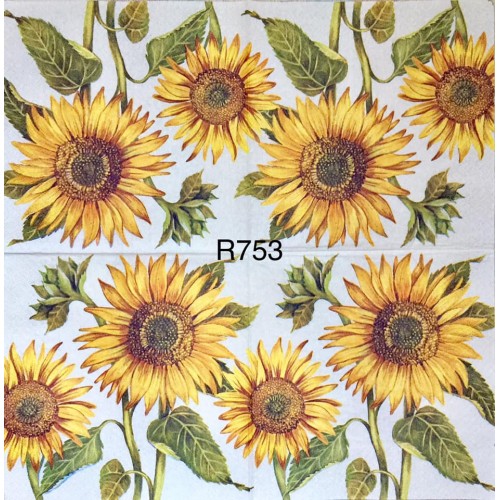 Decorative Napkins R753