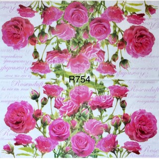 Decorative Napkins R754