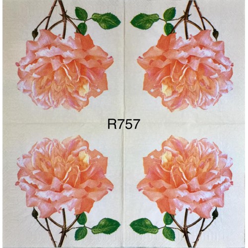 Decorative Napkins R757